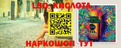 дживик Камышлов