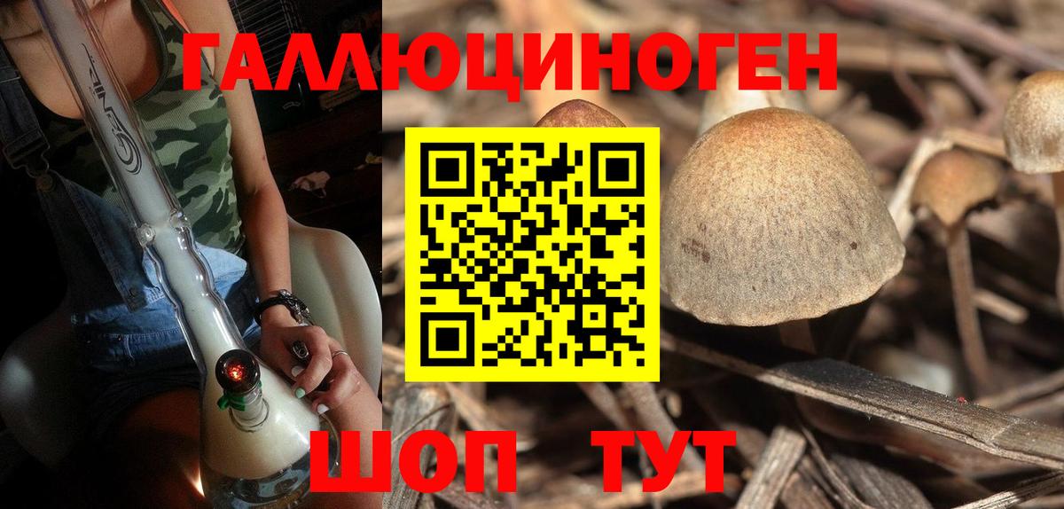 Галлюциногенные грибы GOLDEN TEACHER  купить наркотик  Краснознаменск  Вход с VPN 