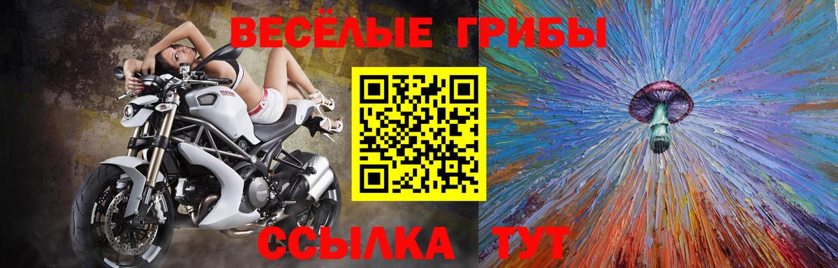 Галлюциногенные грибы Magic Shrooms Краснознаменск